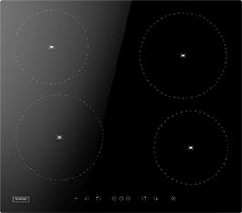 Induktionsfeld Reparatur Ingelheim